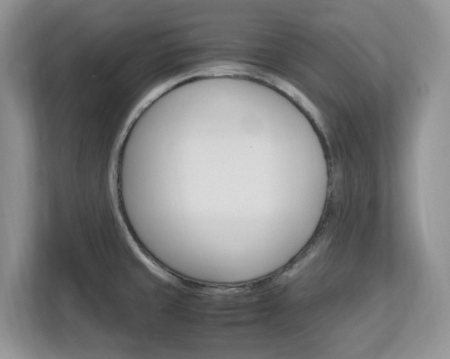 X0000113091429200908280958