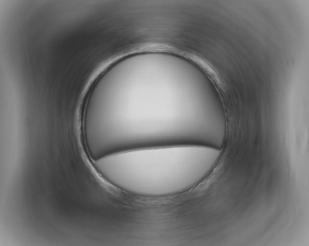 X0000113091430200908280958