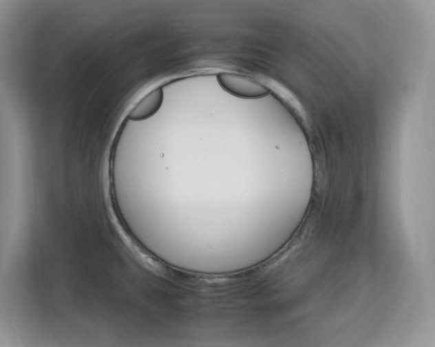 X0000113091431200908280958