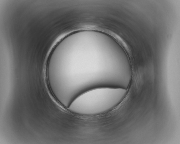 X0000113091432200908280958