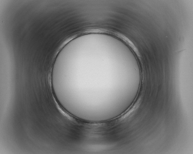 X0000113091433200908280958
