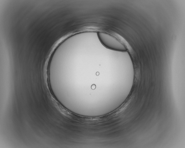 X0000113091435200908280958