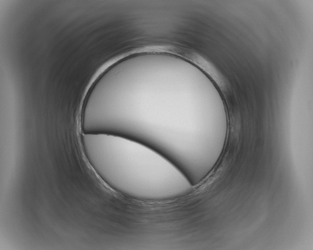 X0000113091436200908280958