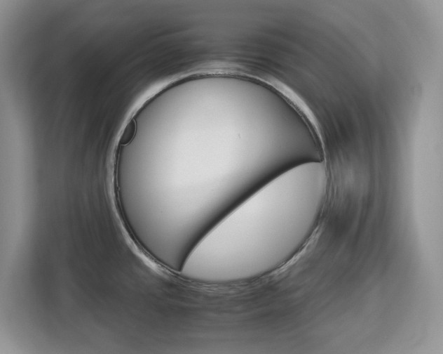 X0000113091437200908280958