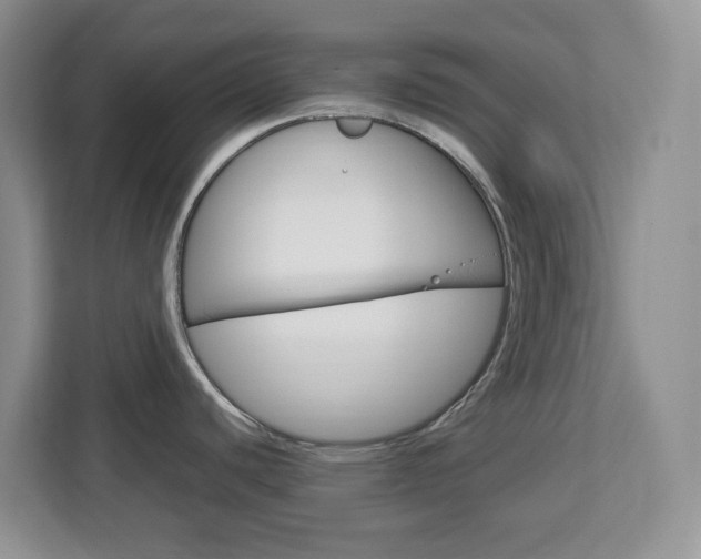 X0000113091440200908280958
