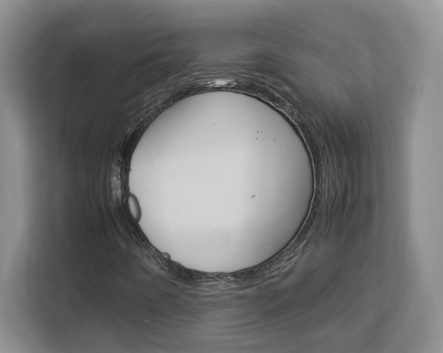 X0000113091442200908280958