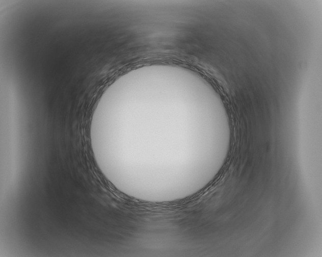 X0000113091445200908280958