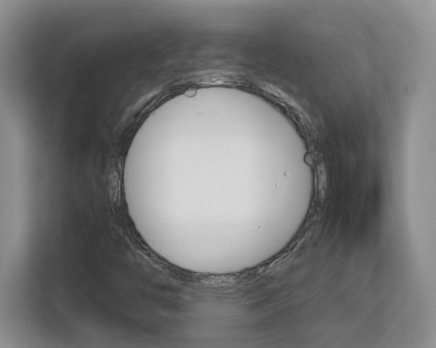 X0000113091446200908280958
