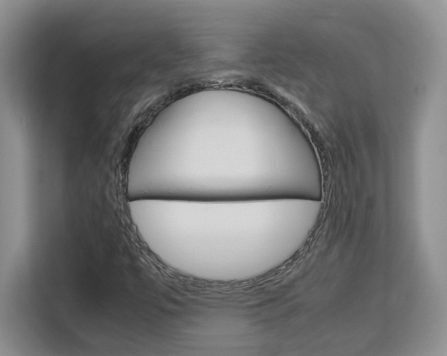 X0000113091447200908280958