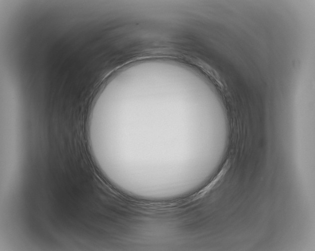 X0000113091449200908280958