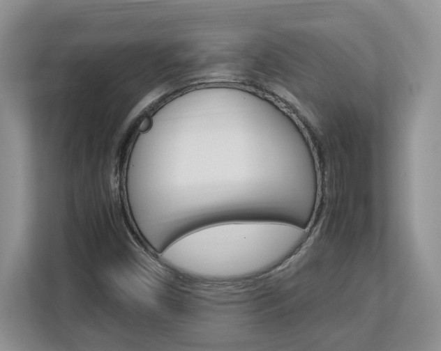 X0000113091450200908280958