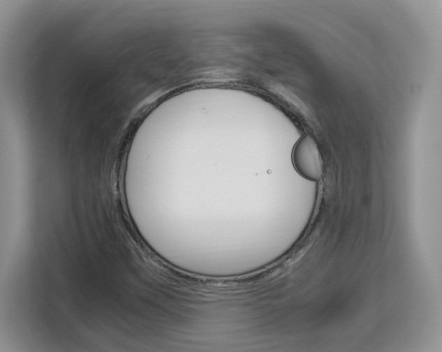 X0000113091451200908280958