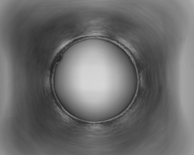 X0000113091452200908280958