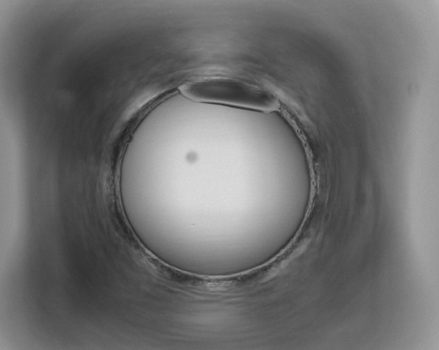 X0000113091453200908280958