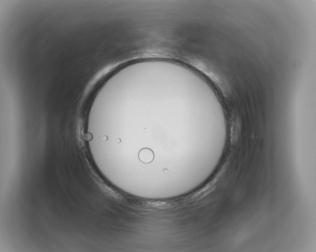 X0000113091454200908280958