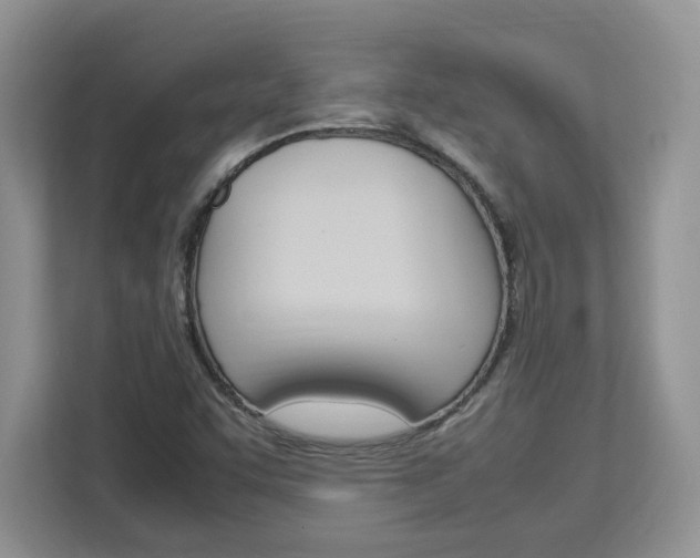 X0000113091455200908280957
