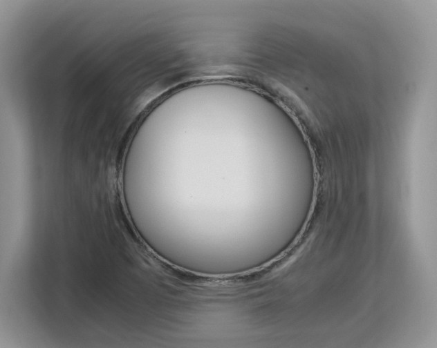 X0000113091457200908280957