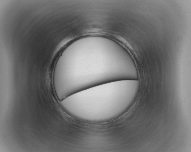 X0000113091458200908280957