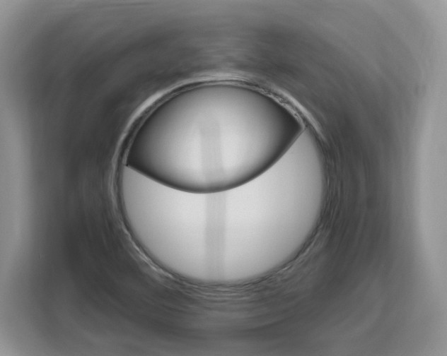 X0000113091460200908280957
