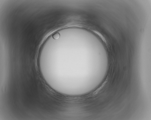 X0000113091461200908280957