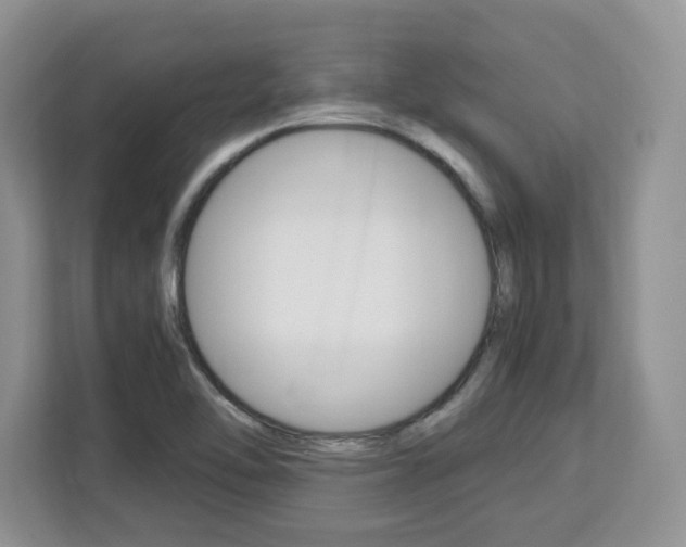 X0000113091462200908280957