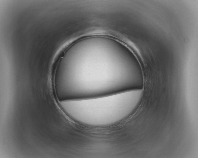 X0000113091464200908280957