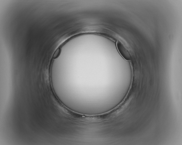X0000113091465200908280957