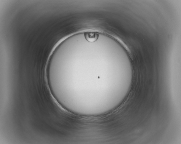 X0000113091468200908280957