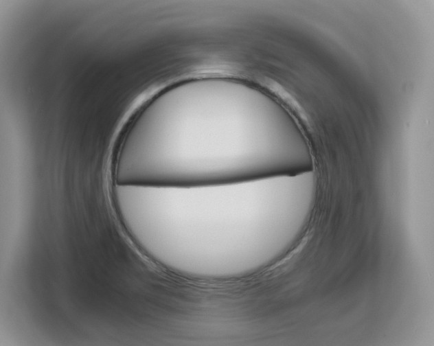 X0000113091469200908280957