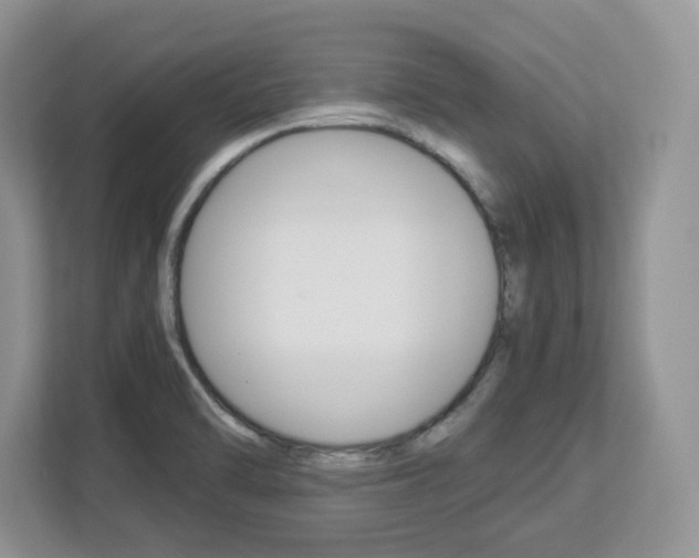 X0000113091470200908280957