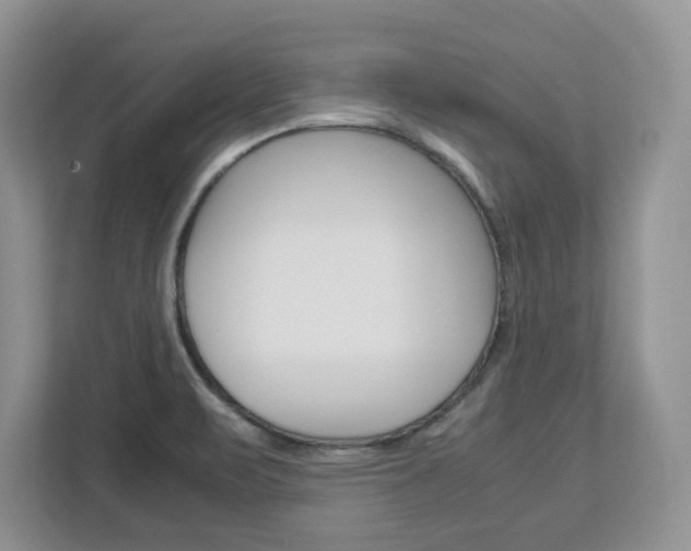 X0000113091471200908280957
