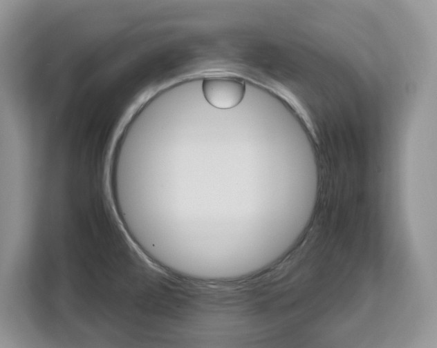 X0000113091472200908280957