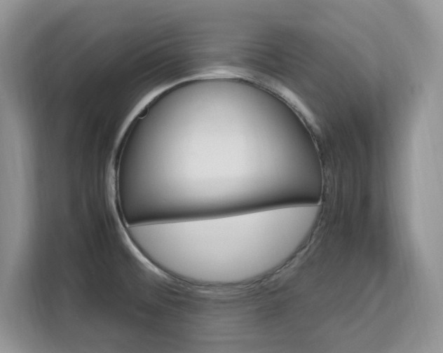 X0000113091476200908280957