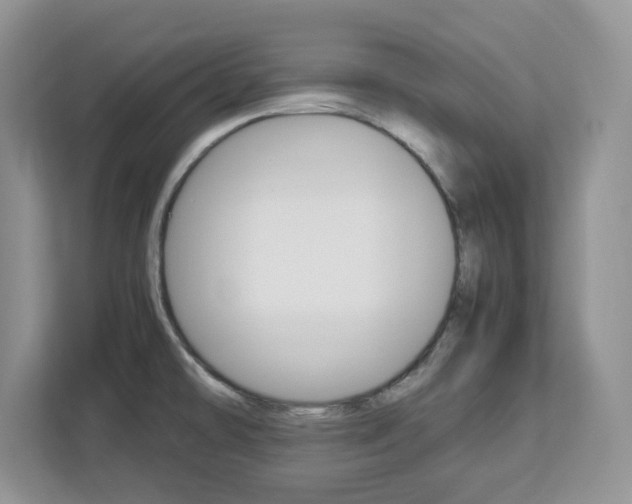 X0000113091478200908280957