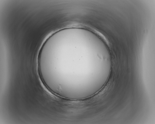 X0000113091479200908280957