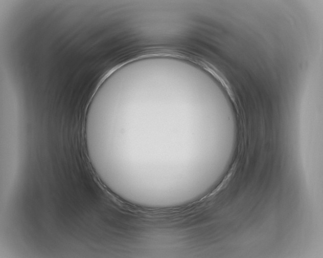 X0000113091481200908280957