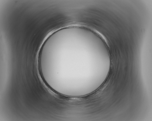 X0000113091483200908280957
