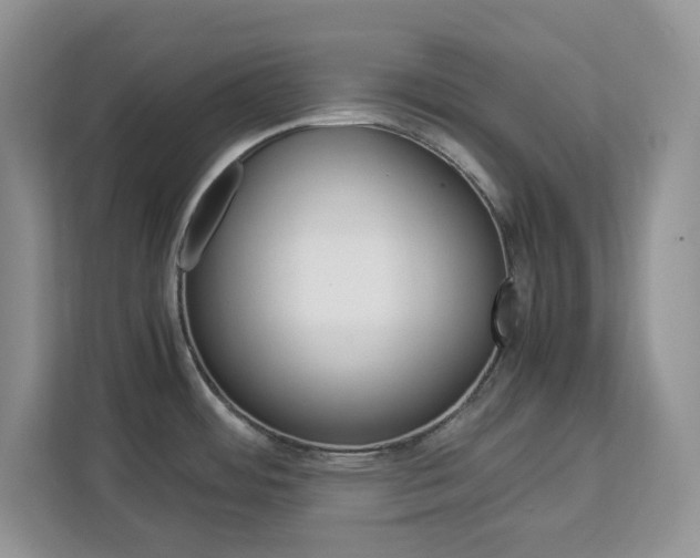X0000113091484200908280957