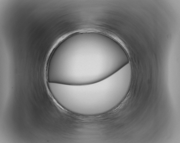 X0000113091485200908280957