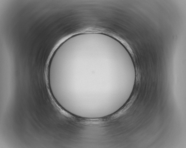 X0000113091486200908280957