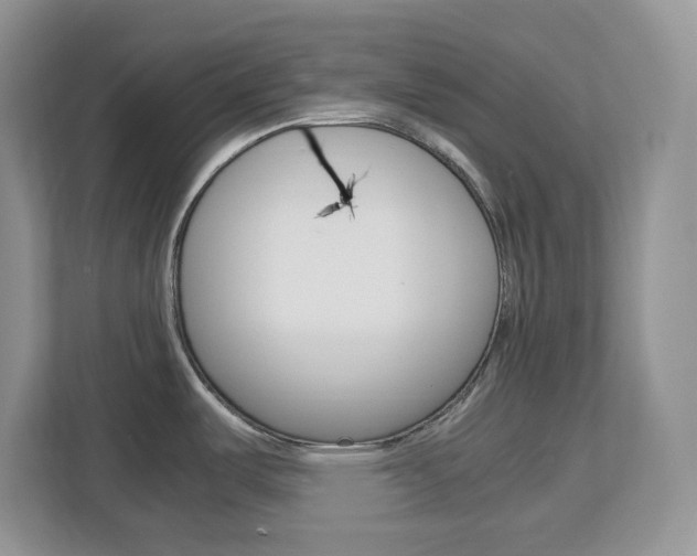 X0000113091487200908280957