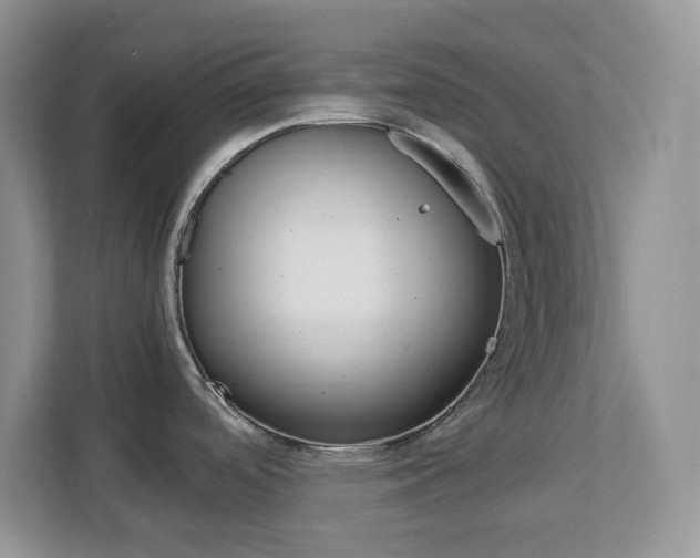 X0000113091488200908280957