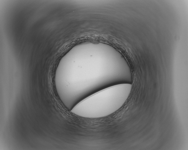 X0000113091489200908280956