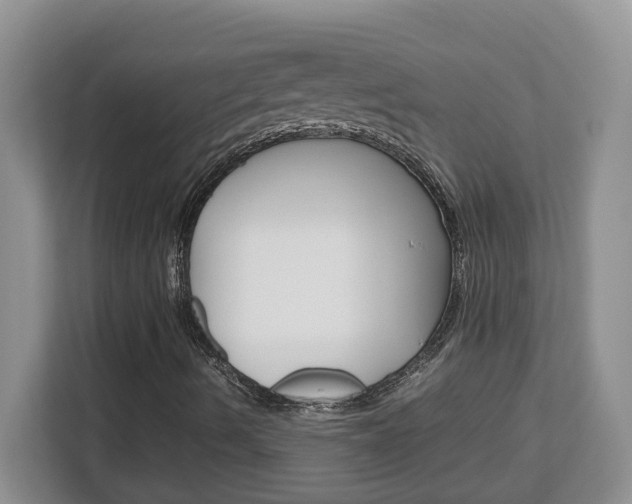 X0000113091490200908280956