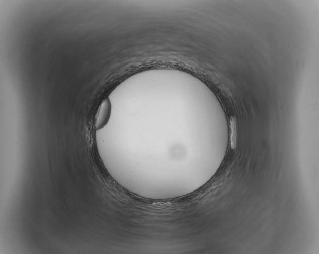 X0000113091491200908280956