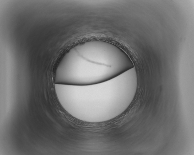 X0000113091492200908280956