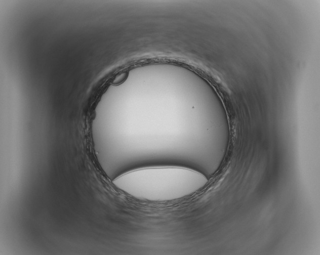 X0000113091494200908280957
