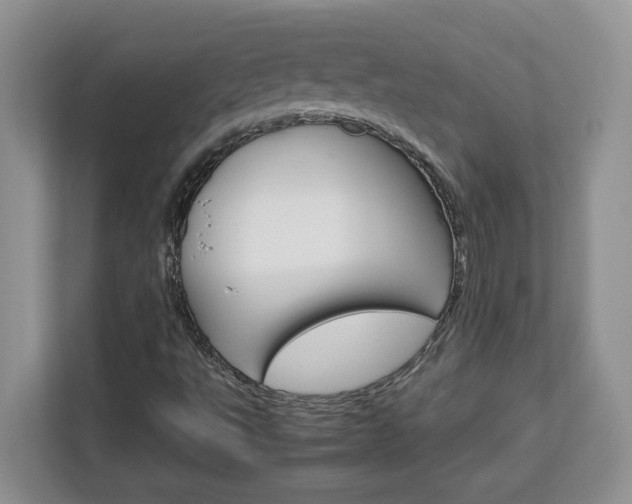 X0000113091495200908280957