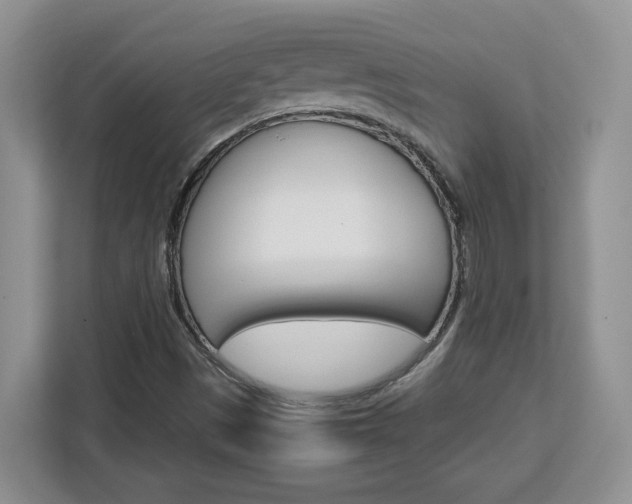 X0000113091497200908280957