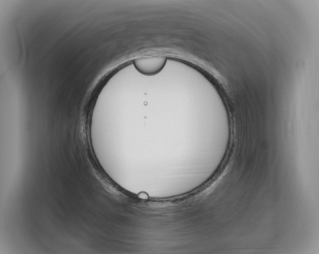 X0000113091498200908280957
